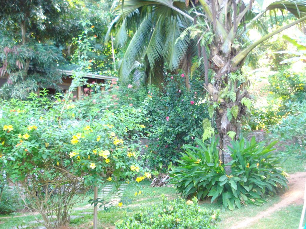 Cote Sud - Unique Villa & Bungalows Intendance Road Takamaka Cameră foto